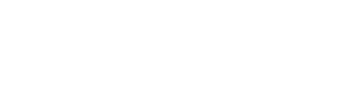 ANO 2011